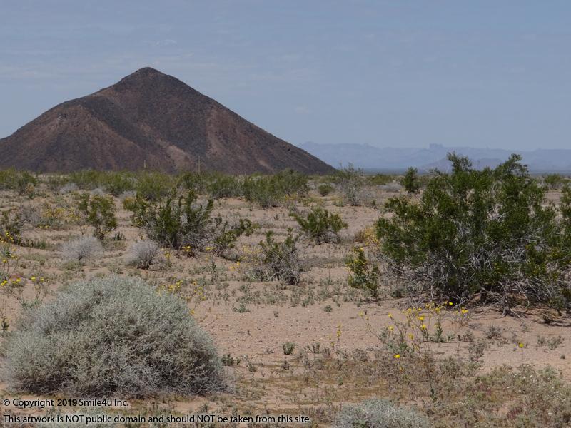 1.3 acre land in Yuma County, Arizona